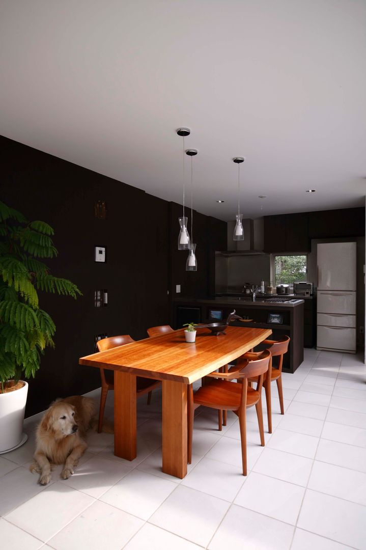 犬と暮らす中庭の家, 藤井伸介建築設計室 藤井伸介建築設計室 Modern dining room