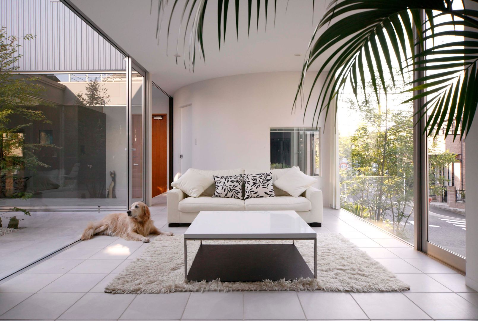 犬と暮らす中庭の家, 藤井伸介建築設計室 藤井伸介建築設計室 Modern living room