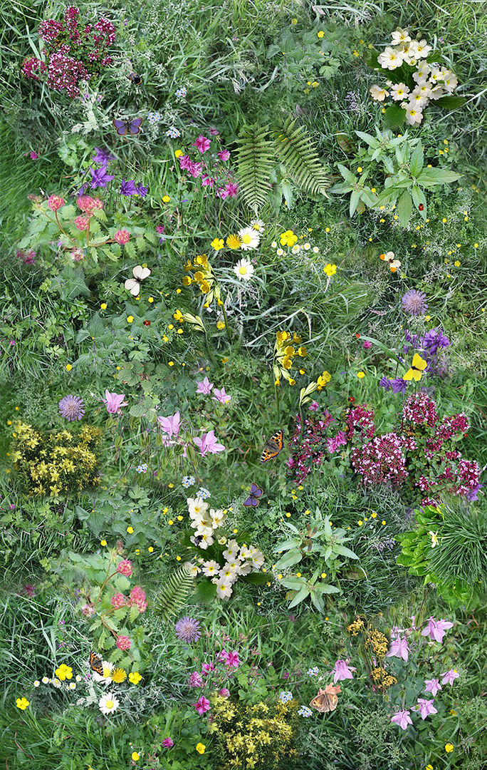 Wild flowers Blue Butterfly Flooring Commercial spaces Schools