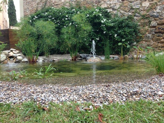 ESTANQUES, jardinista jardinista Swimming pond