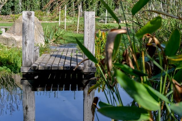 ESTANQUES, jardinista jardinista Swimming pond