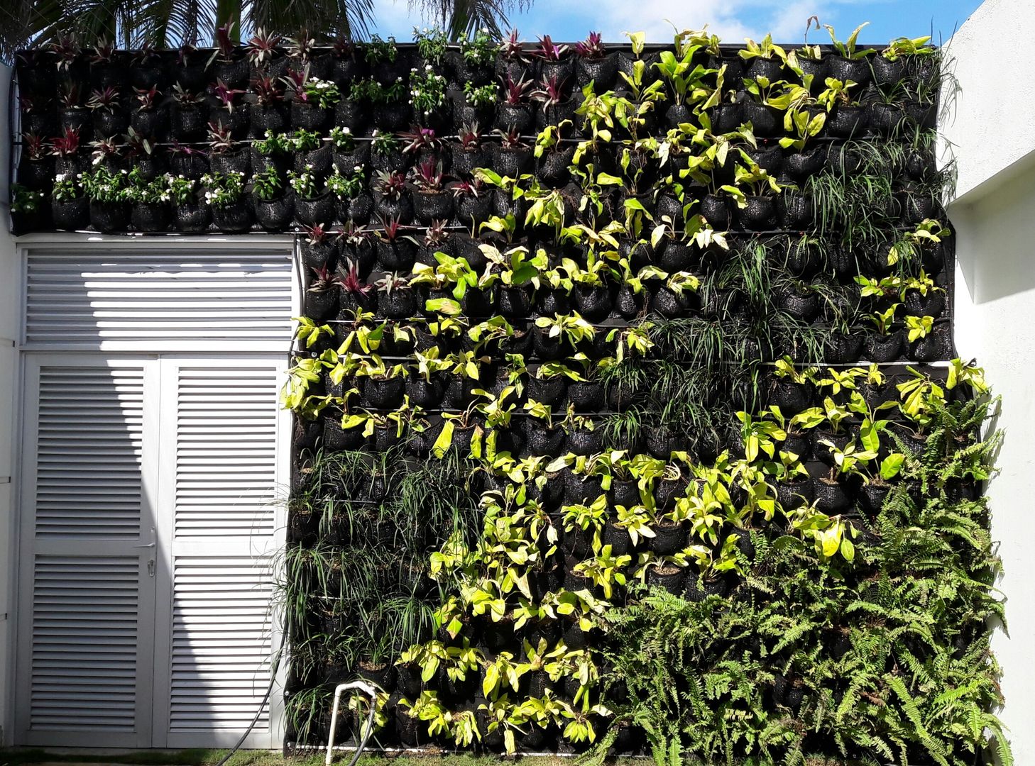 Por que instalar un jardin vertical en nuestra casa o negocio? – Paisajismo  y Jardines Verticales