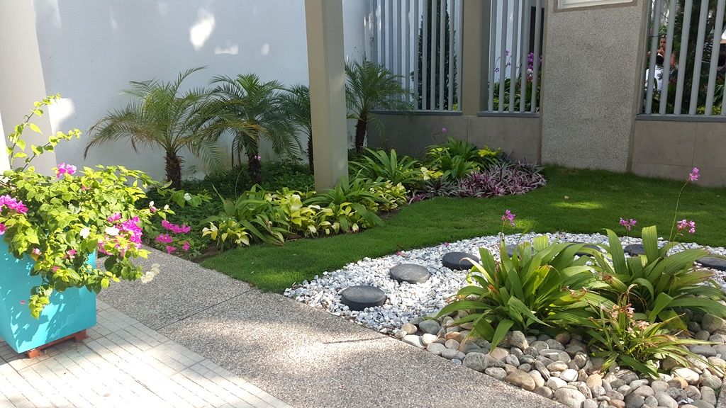 homify Tropical style gardens