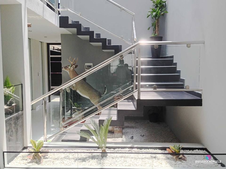 Casa 102, Estudio Chipotle Estudio Chipotle Minimalist corridor, hallway & stairs