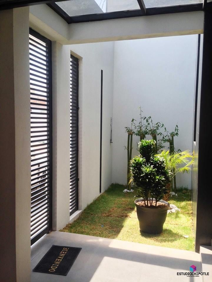 Casa 102, Estudio Chipotle Estudio Chipotle Jardins minimalistas