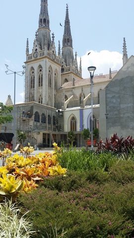 PLAZA SAN ROQUE - BARRANQUILLA - COLOMBIA, BRASSICA SOLUCIONES PAISAJISTICAS S.A.S. BRASSICA SOLUCIONES PAISAJISTICAS S.A.S. Tropical style garden