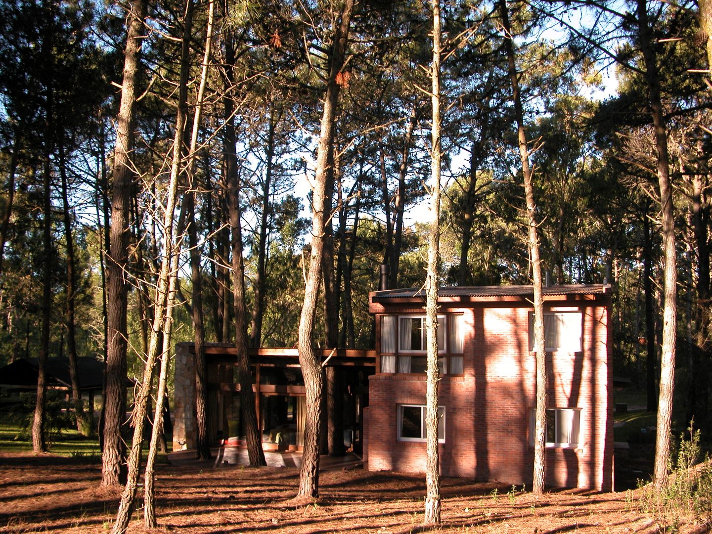 CASA EN EL BOSQUE, LLACAY arq LLACAY arq Rustik Evler Taş