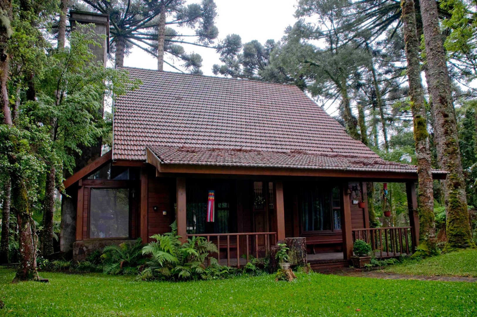 Casa Pinus, CABRAL Arquitetos CABRAL Arquitetos Case in stile rustico Legno Effetto legno