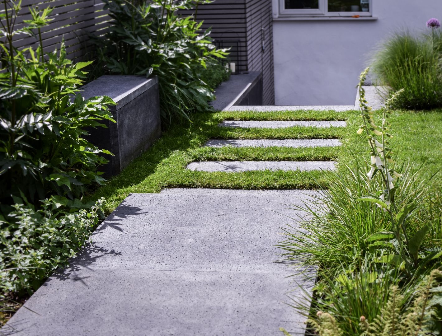 Concrete paving and bench Tom Massey Landscape & Garden Design 庭院