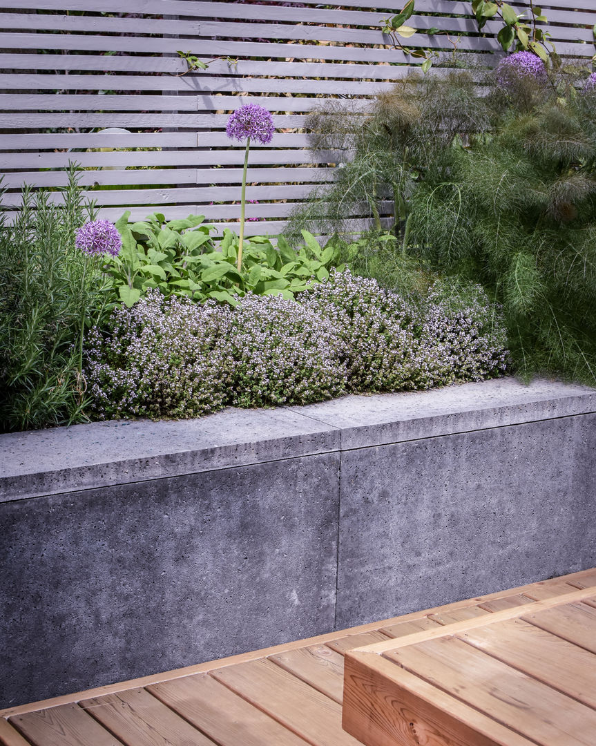 Panting and concrete clad retaining wall Tom Massey Landscape & Garden Design Сад в стиле модерн