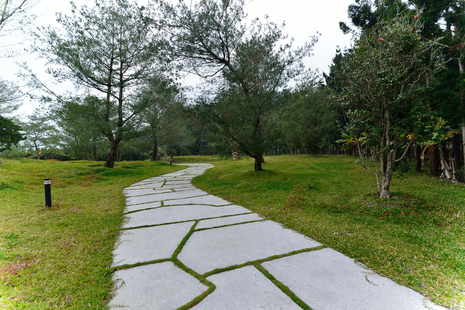 維摩山房, 台中室內建築師|利程室內外裝飾 LICHENG 台中室內建築師|利程室內外裝飾 LICHENG منازل