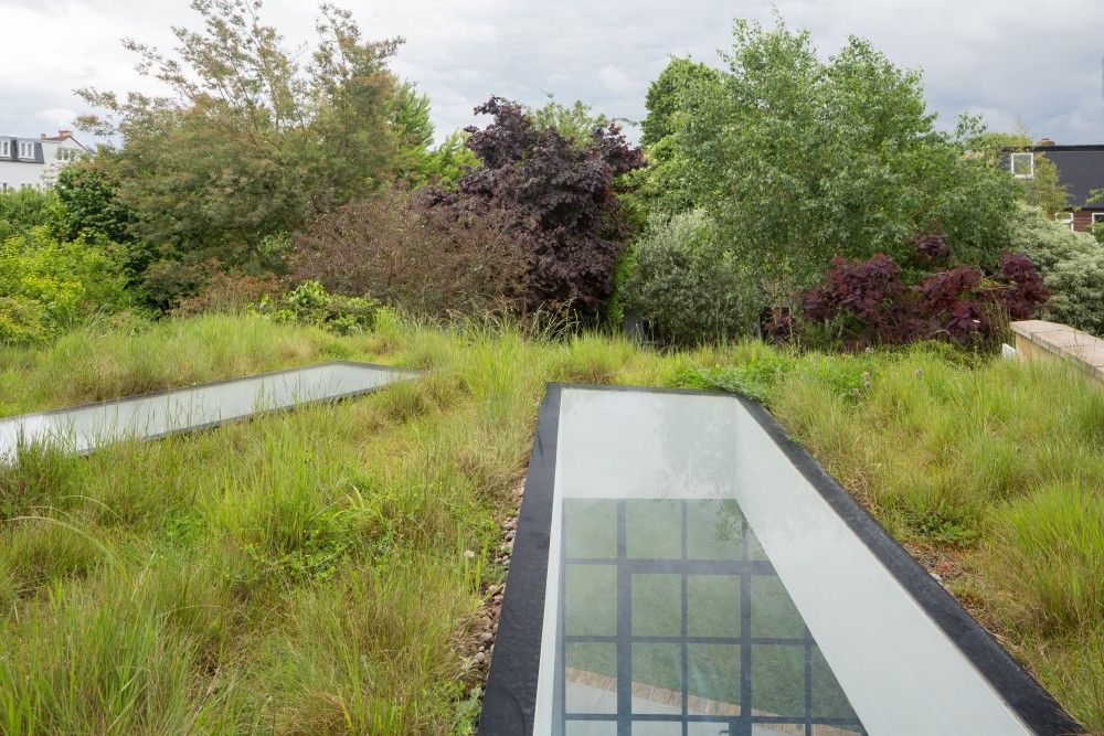 Living roof Fraher and Findlay ラスティックな 庭 living roof,light well,roof garden,trees,green roof,nature,eco roof,grasses