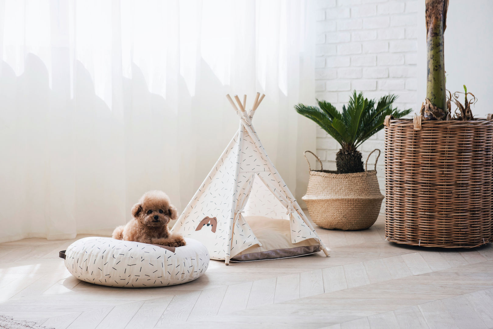 반려동물 가구 Pet Furniture – TEEPEE TENT, HUTS & BAY HUTS & BAY พื้นที่เชิงพาณิชย์ Commercial Spaces