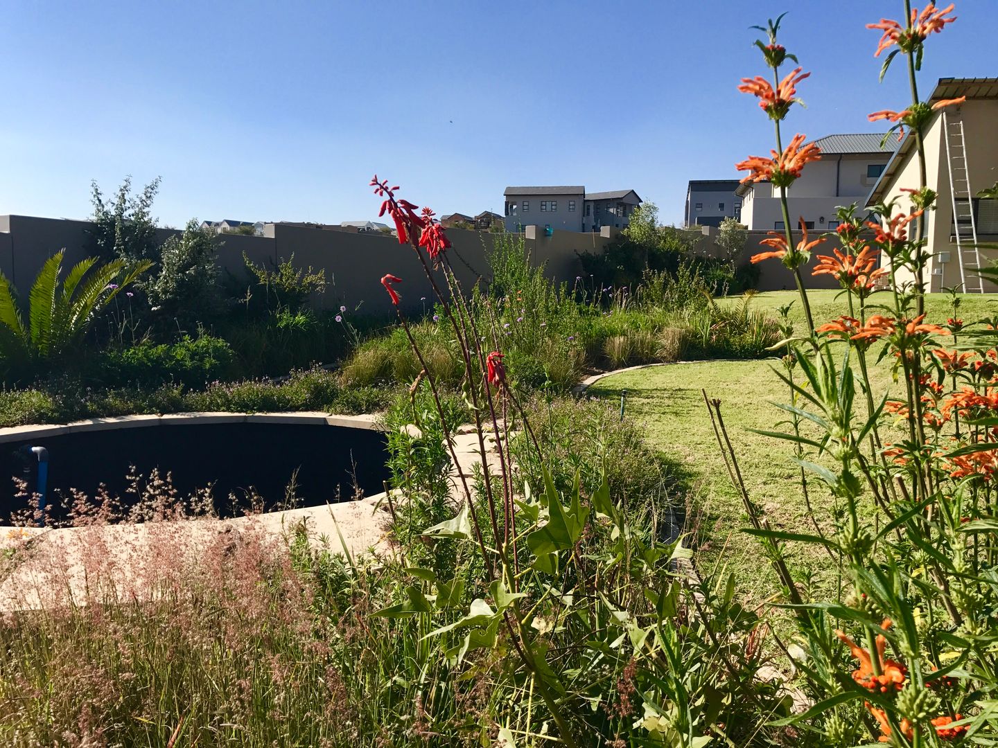 Country Garden gone green, Acton Gardens Acton Gardens حديقة