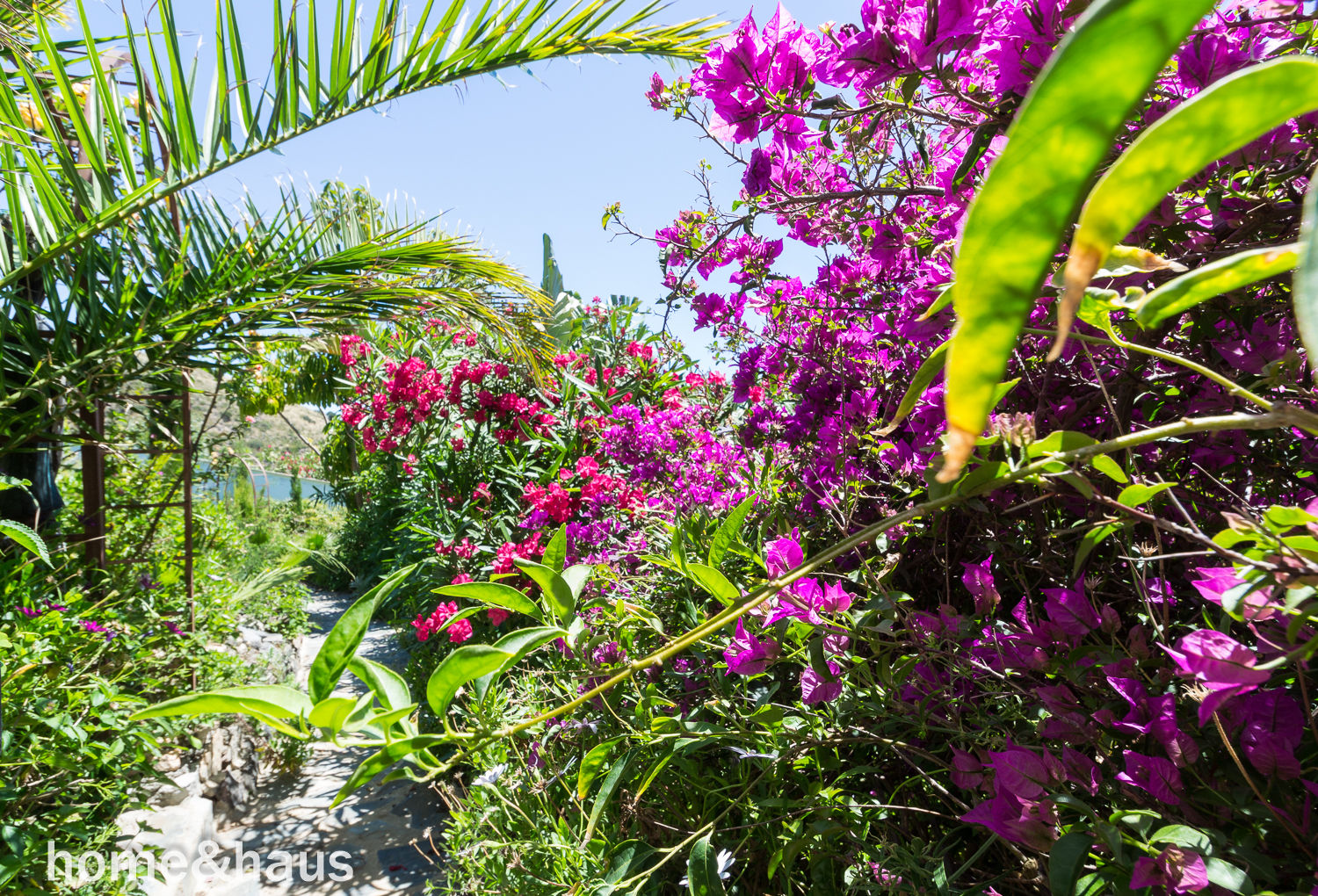 Home Staging en villa de alquiler vacacional "Door to the South", Home & Haus | Home Staging & Fotografía Home & Haus | Home Staging & Fotografía 地中海風 庭