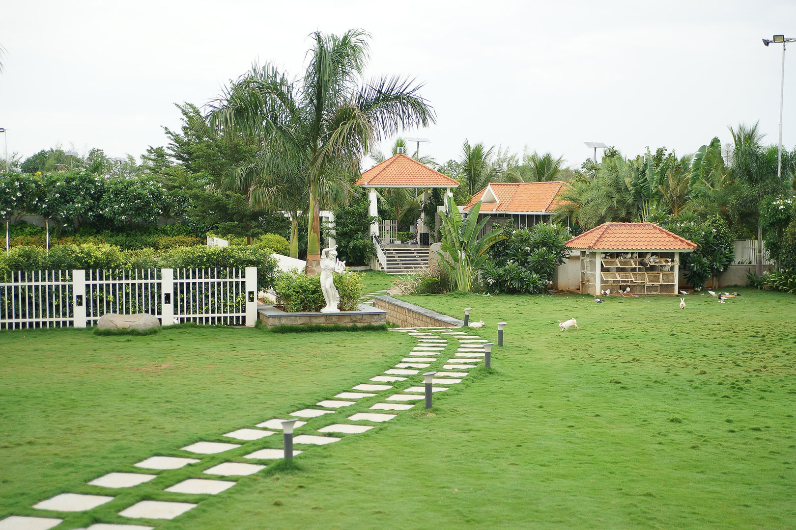 Dhanturi Farm House, iammies Landscapes iammies Landscapes Garden