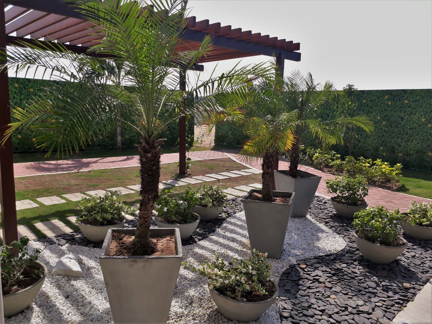 homify Jardines de estilo tropical