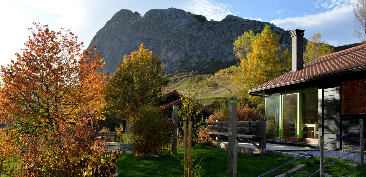 RUSTICASA | Cabañas Patagónicas | Outono, RUSTICASA RUSTICASA Ruang Komersial Parket Multicolored Hotels