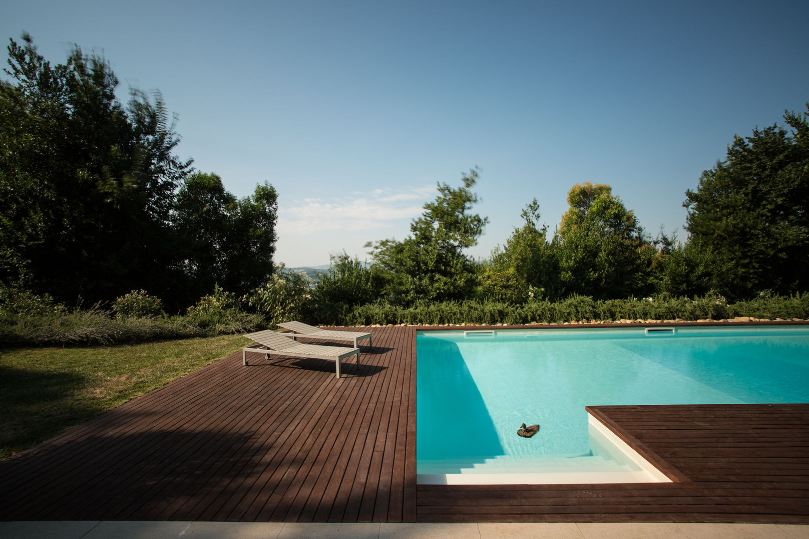 PGL | Piscina con serra sulle colline Pesaresi, PLUS ULTRA studio PLUS ULTRA studio Mediterranean style garden