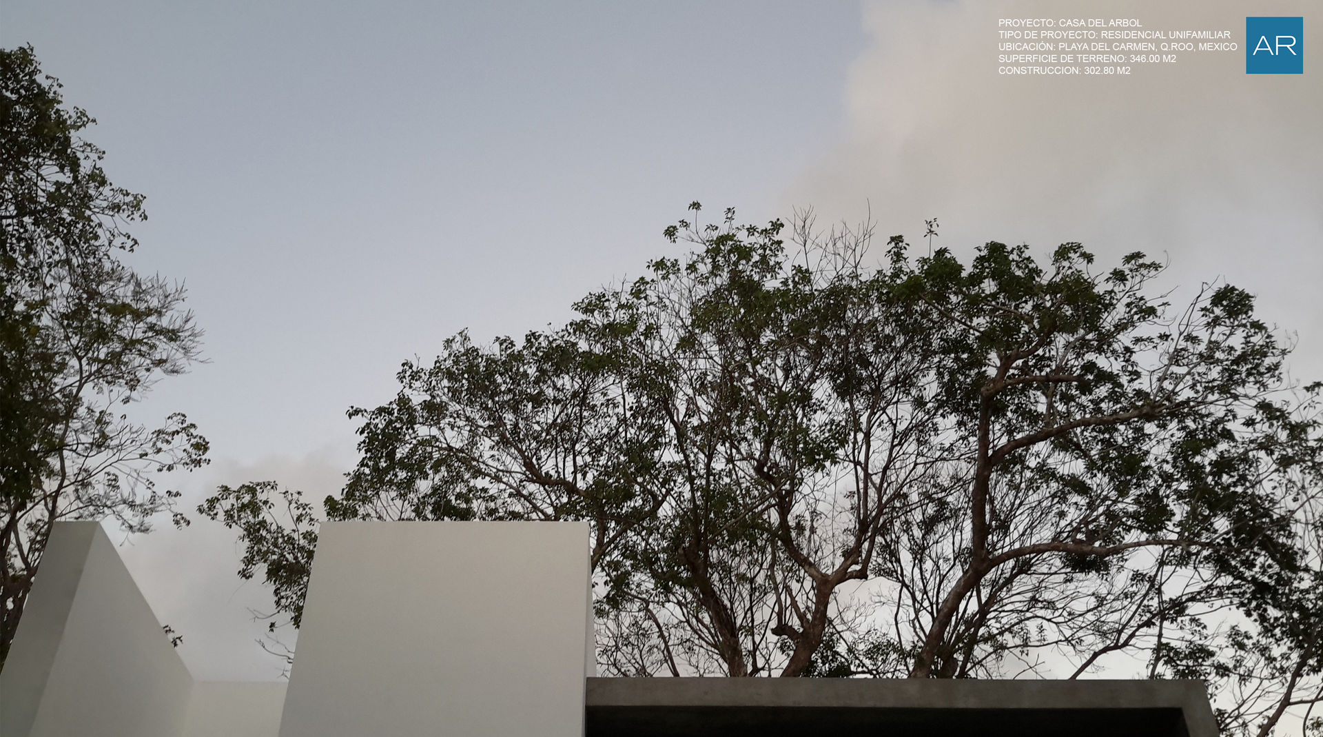La Casa del Arbol / Playa del Carmen, Quintana Roo, México AREA (Laboratorio Espacial) Casas modernas mejores arquitectos,playa del carmen,riviera maya,mexico,quintana roo,miguel regalado,david castro