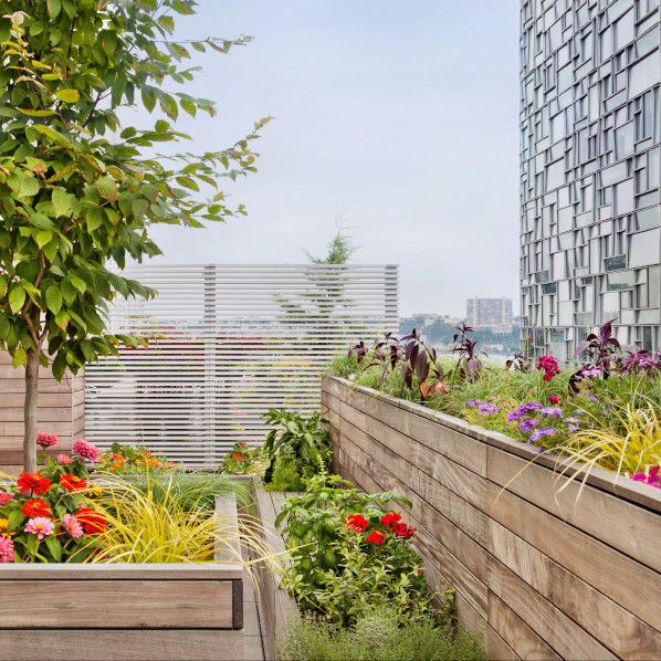 High Line Penthouse, New York, NY, BILLINKOFF ARCHITECTURE PLLC BILLINKOFF ARCHITECTURE PLLC ระเบียง, นอกชาน