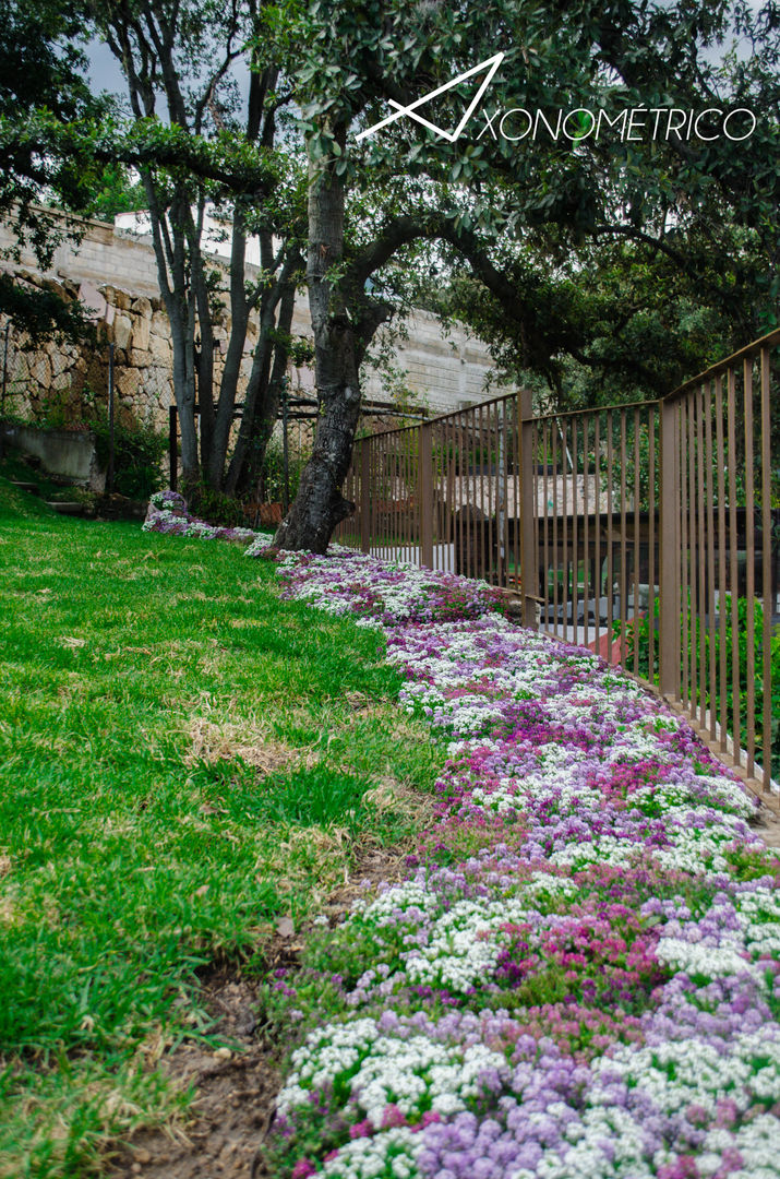 Jardin MirFar, Axonometrico Axonometrico Modern Bahçe