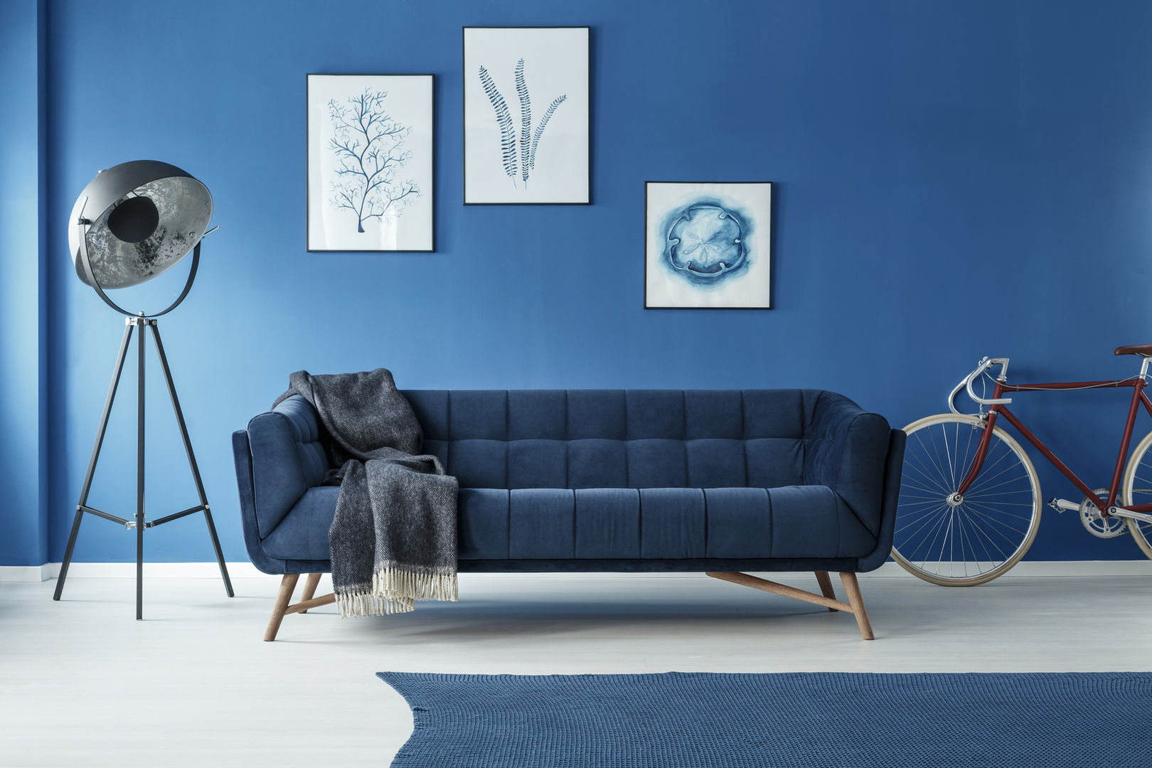 Blue sofa homify Modern Living Room Cotton Red sofa,couch,blue sofa,blue couch,blue wall,Sofas & armchairs