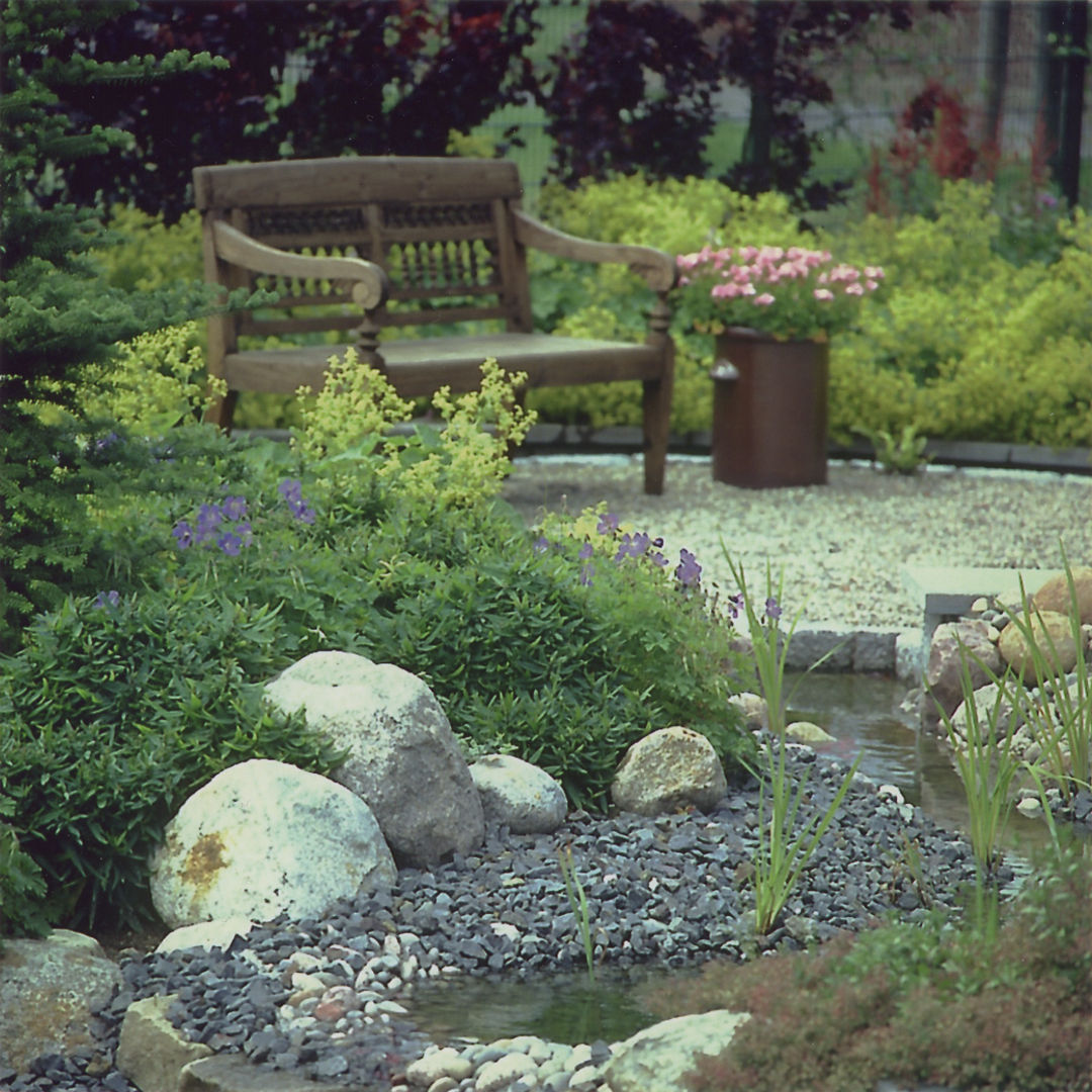 ... ein Kiesgartenbild 2kn architekt + landschaftsarchitekt Thorsten Kasel + Sven Marcus Neu PartSchG Steingarten Stein Blume,Pflanze,Pflanzengemeinschaft,Wasser,Natürliche Landschaft,Botanik,Außenbank,Gras,Biom,Strauch