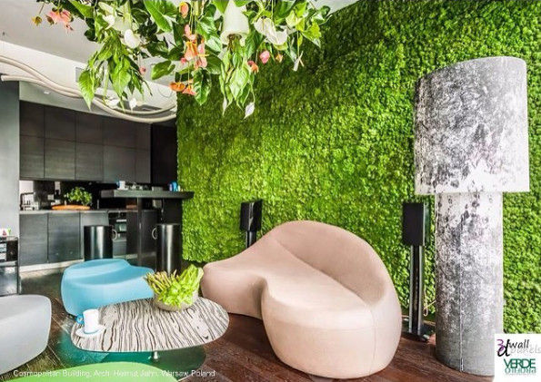 İç Peyzaj - Yosun Paneller & Dikey Bahçeler, mossconcept mossconcept Nowoczesny salon