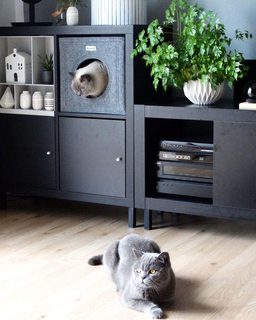 IKEA Hack: Regal Kallax wir zum Katzenmöbel verwandelt, DIE MODERNE KATZE ® DIE MODERNE KATZE ® Ruang Keluarga Modern Tekstil Amber/Gold Cupboards & sideboards