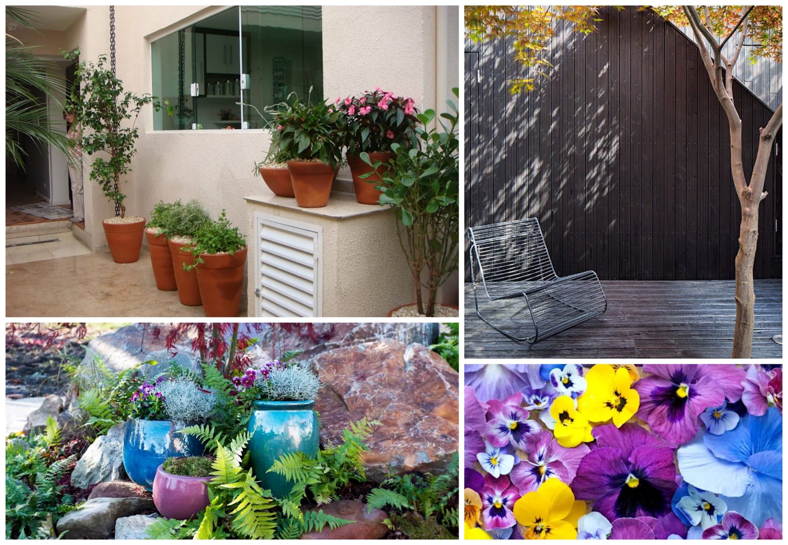 homify Modern garden Plants & flowers