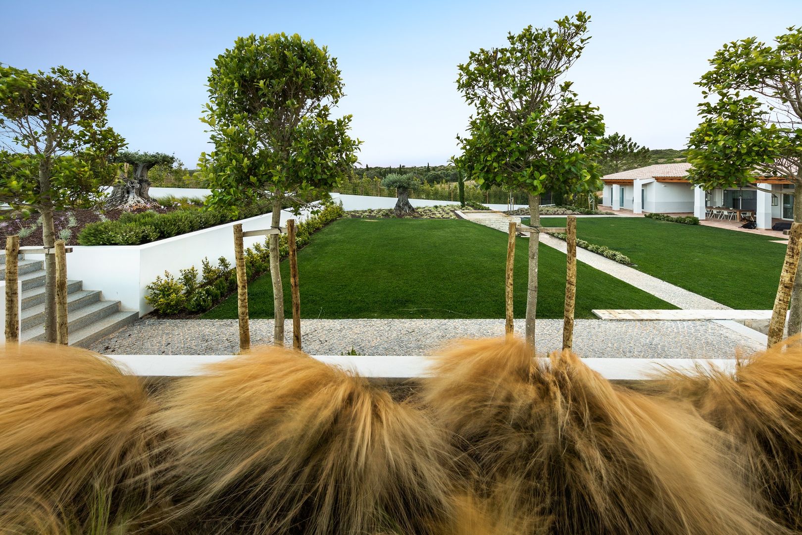 Villa Salema, Jardíssimo Jardíssimo Śródziemnomorski ogród