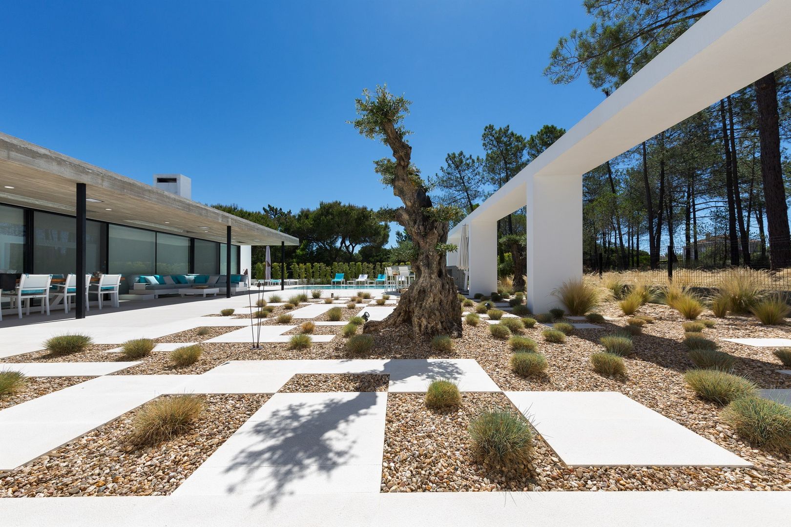 Villa Almancil, Jardíssimo Jardíssimo Jardines de estilo minimalista