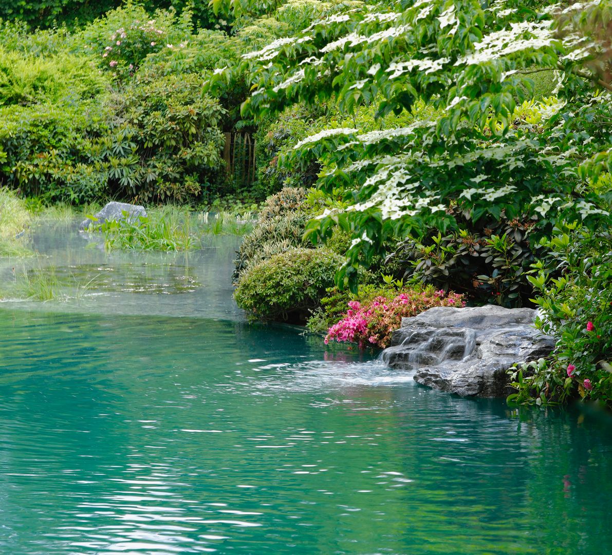 Schwimmteich in einem klassischen Garten, Jürgen Kirchner Wasser + Garten Jürgen Kirchner Wasser + Garten Jardins clássicos