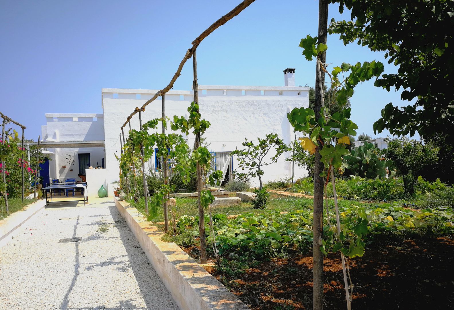 masseria mediterranea in Puglia, Natura&Architettura Natura&Architettura منازل