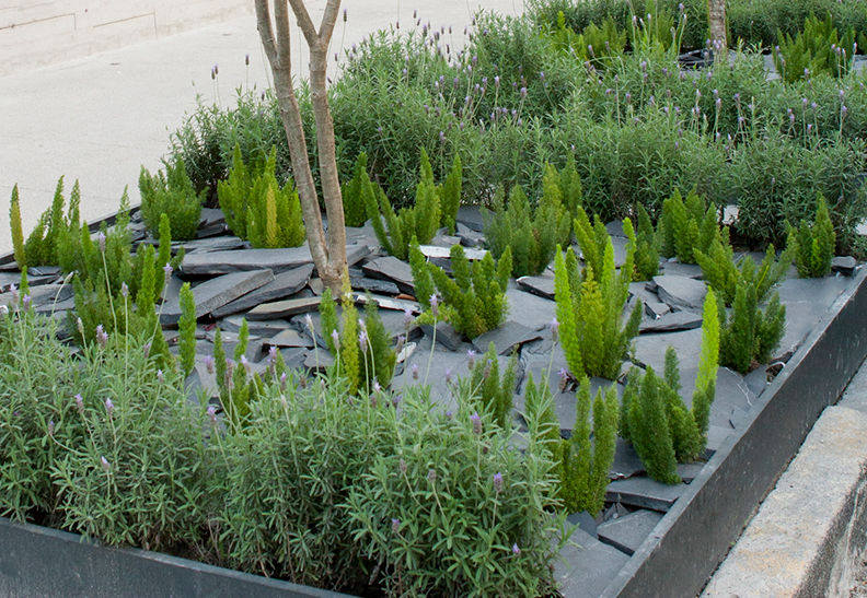 Detalle jardín banqueta. Hábitas Jardines de estilo mediterráneo Pizarra