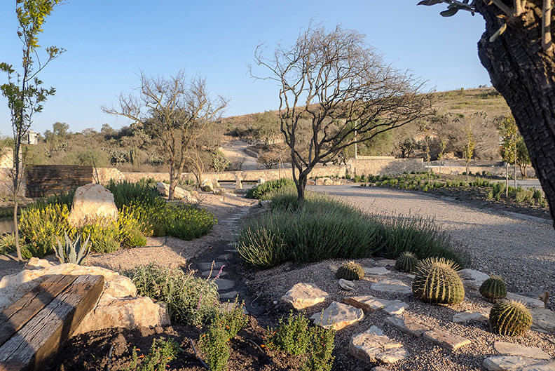 Jardines de acceso al fraccionamiento Hábitas Jardines de piedra Puerta del Lobo,nativas,plantas nativas