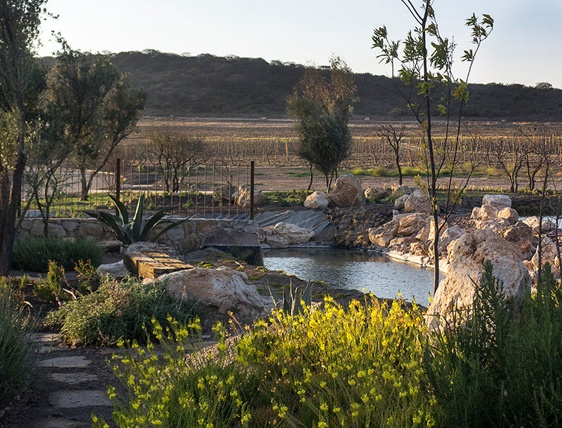 Vista al lago desde la entrada Hábitas Jardines de estilo rural