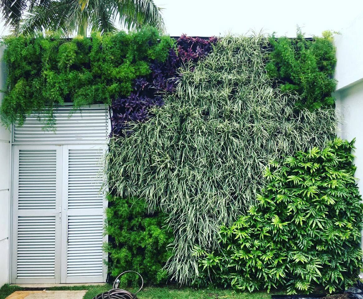 Por que instalar un jardin vertical en nuestra casa o negocio? – Paisajismo  y Jardines Verticales