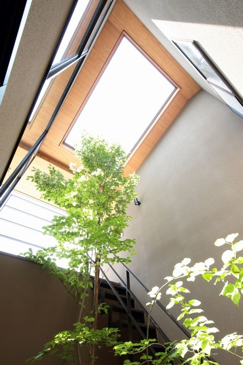 景色とつながる桐生の家, TEKTON | テクトン建築設計事務所 TEKTON | テクトン建築設計事務所 Gable roof Wood Wood effect