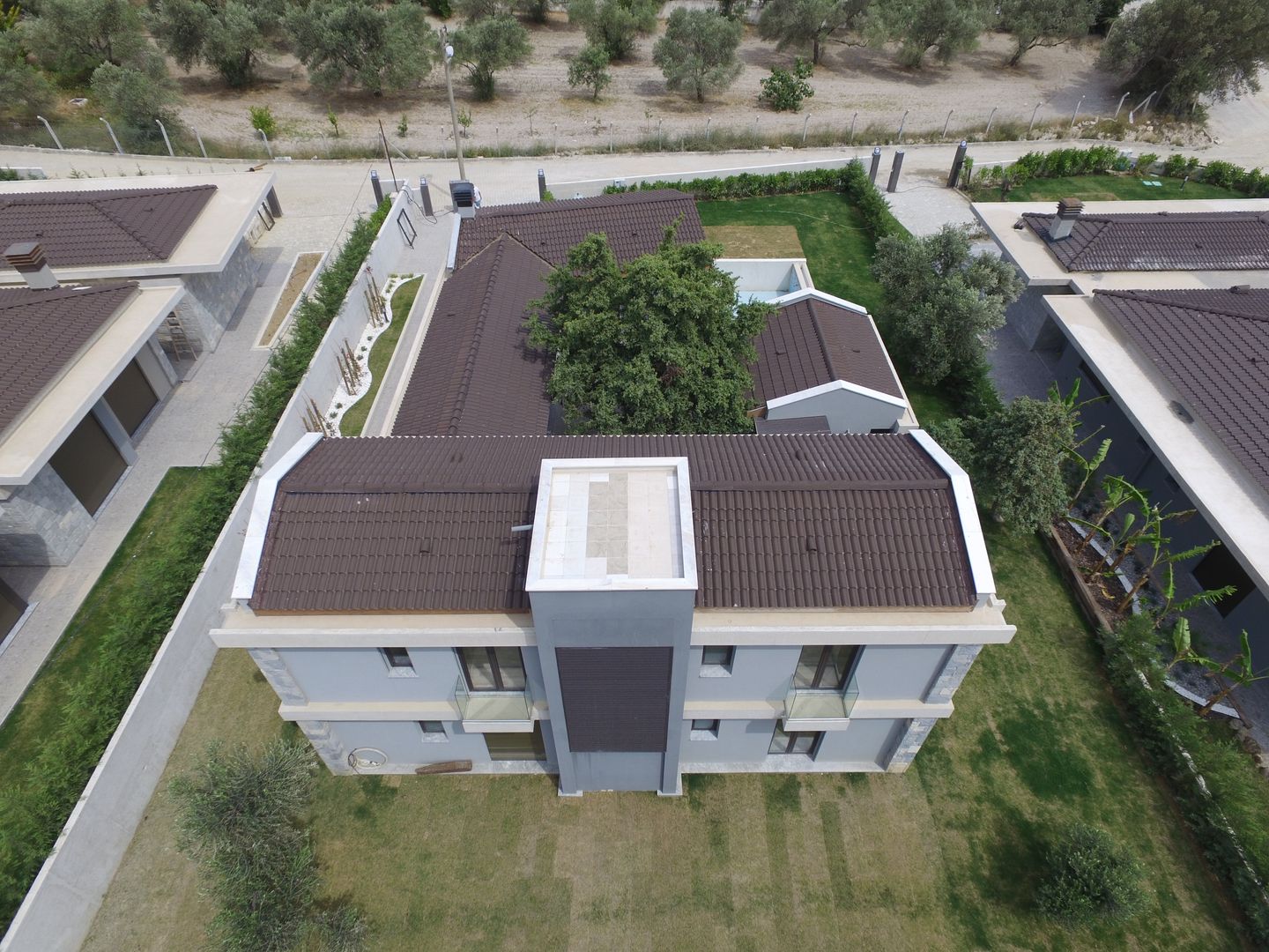 Ardıç Ev Egeli Proje Villa Taş Ağaç,Ardıç,Tasarım,Modern Mimari,Brüt Beton