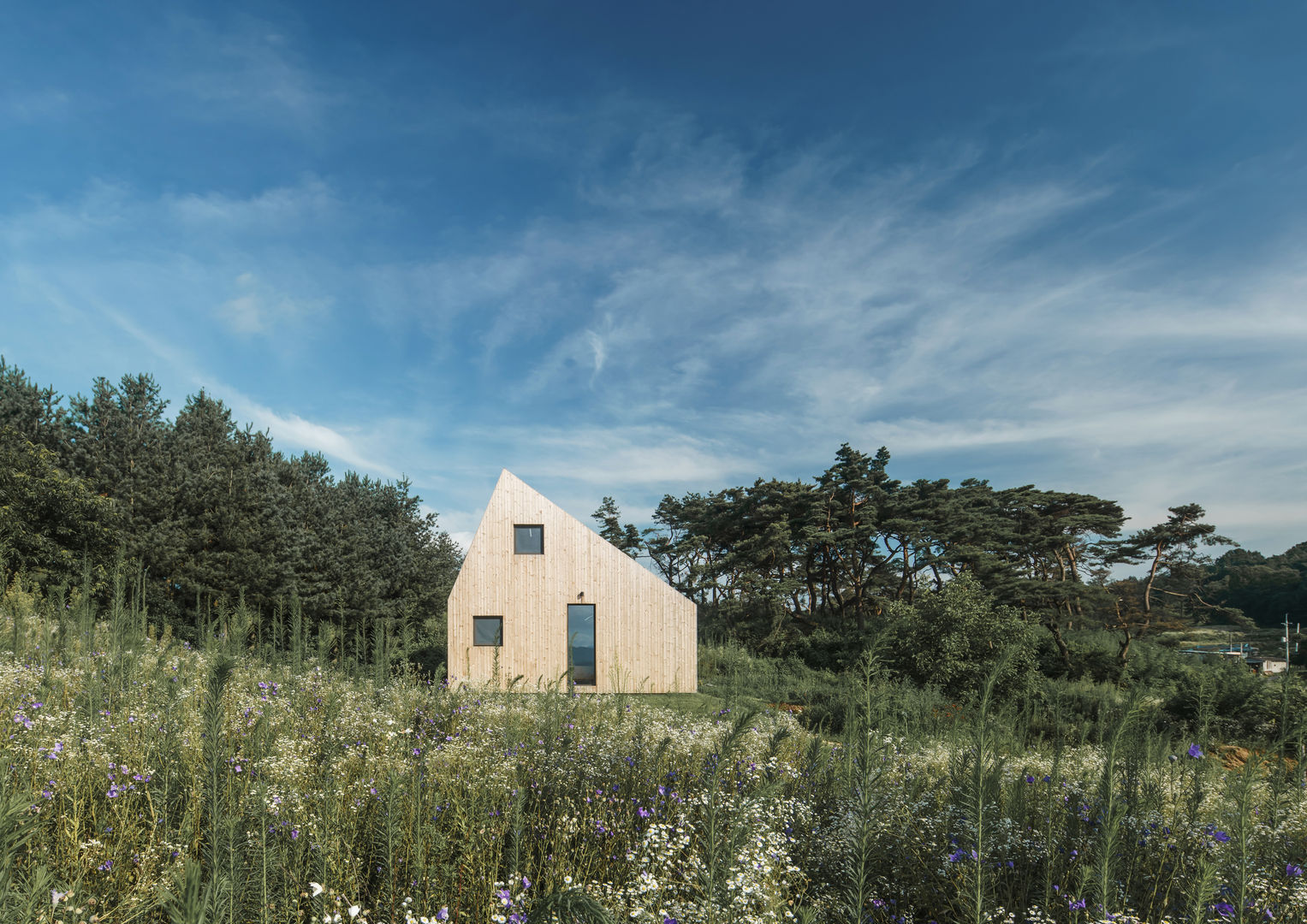 Shear House, stpmj stpmj Casas estilo moderno: ideas, arquitectura e imágenes