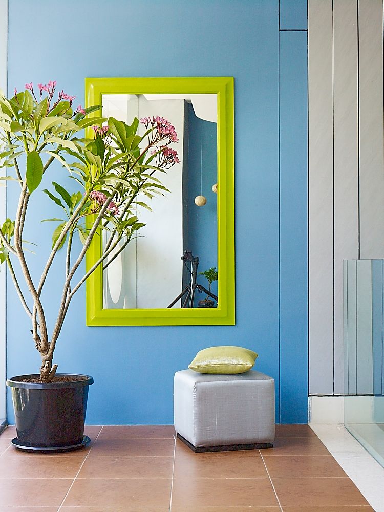 Colour inspired spaces, Papersky Studio Papersky Studio Rustic style corridor, hallway & stairs Plant,Flowerpot,Houseplant,Azure,Rectangle,Purple,Door,Wood,Interior design,Yellow