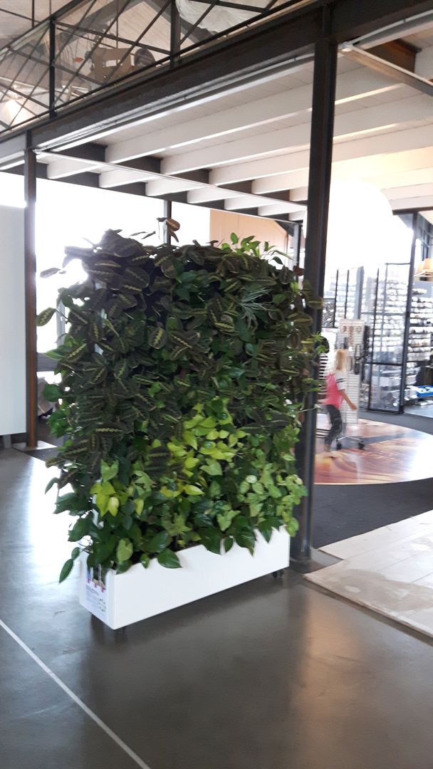 De groenewand, Degroenewand.nl Degroenewand.nl حديقة داخلية Interior landscaping