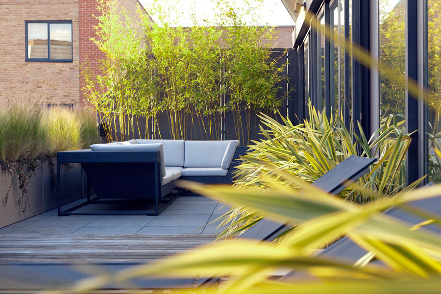 Shoreditch roof garden London MyLandscapes Jardines de estilo moderno planting,design,low,maintenance,terraces,gardens,modern