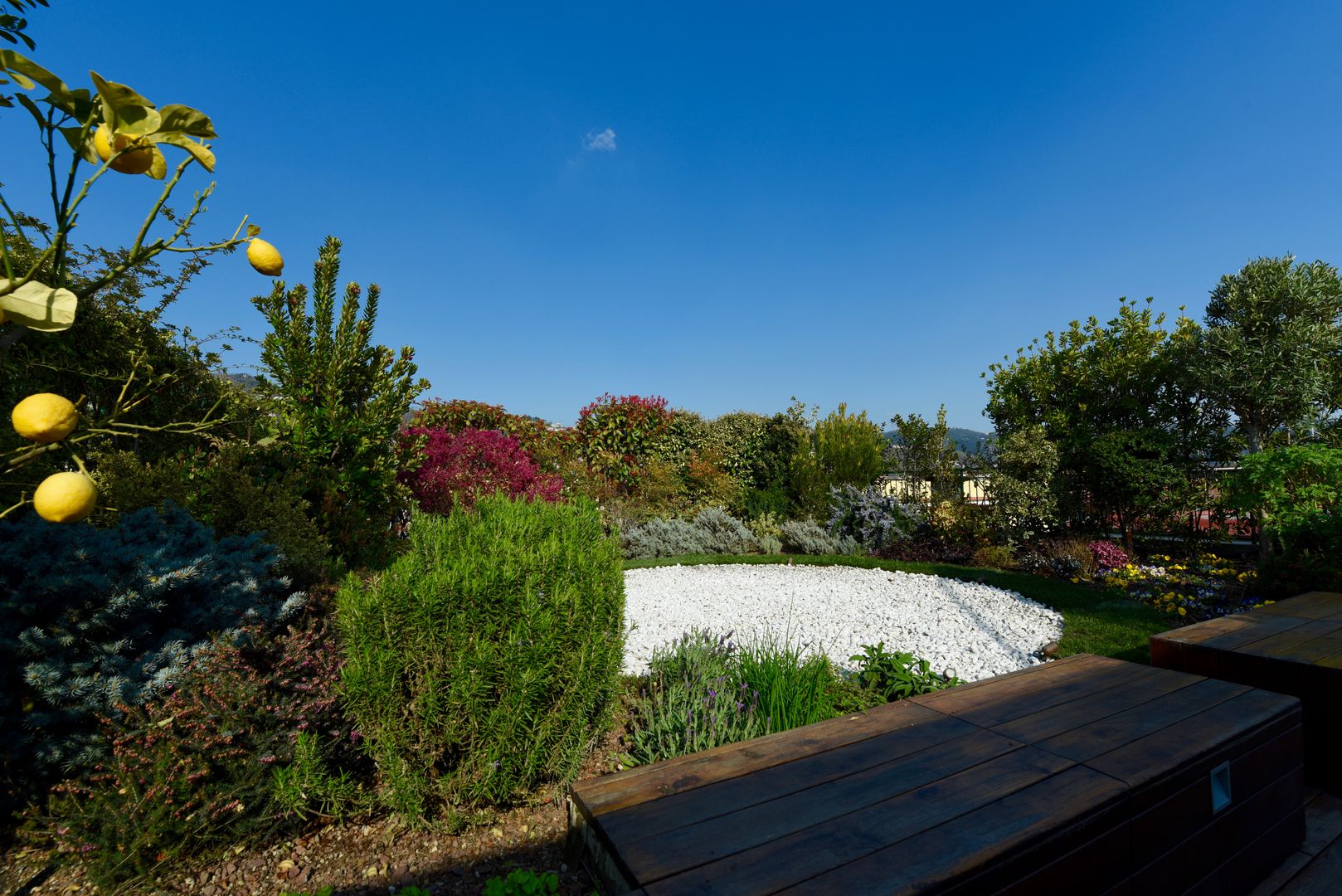 ...Il giardino dopo! emilio coppola architetto Balcone, Veranda & Terrazza in stile moderno roofgarden,tettogiardino,giardinopensile,giardino,terrazzo sul tetto