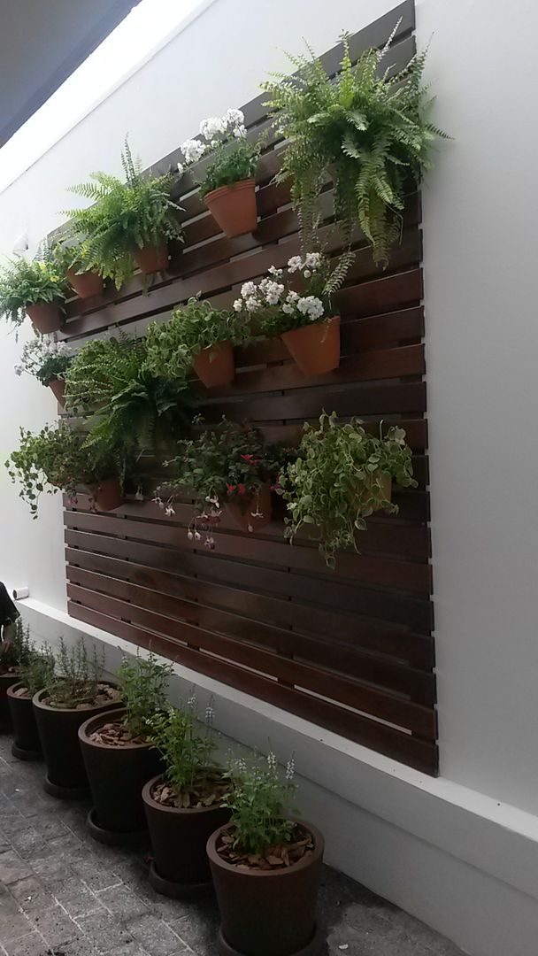 homify Balkon, Beranda & Teras Tropis Plants & flowers