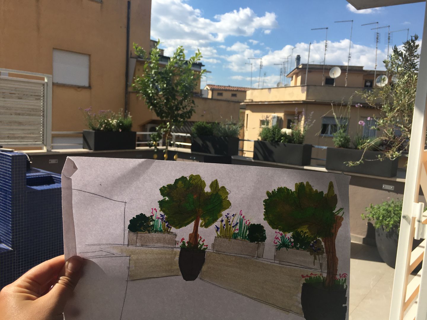 ​Una terrazza romana urban mediterranean, Au dehors Studio. Architettura del Paesaggio Au dehors Studio. Architettura del Paesaggio progetto,render,sketch,post operam,roma,progettazione,terrazza