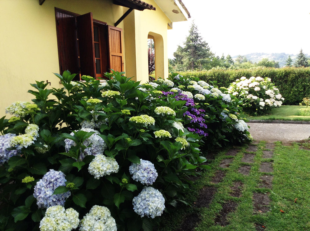 Giardino di collina, Au dehors Studio. Architettura del Paesaggio Au dehors Studio. Architettura del Paesaggio สวน