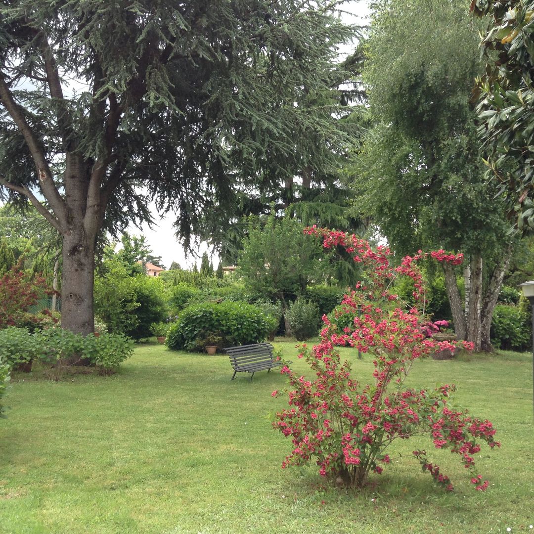 Giardino di collina, Au dehors Studio. Architettura del Paesaggio Au dehors Studio. Architettura del Paesaggio สวน